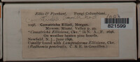 Image Associated With the Occurence